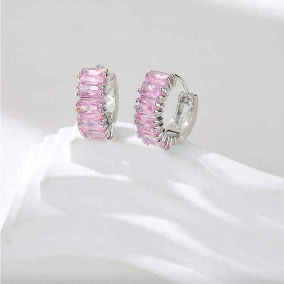 Anthropologie Jewelry - Pink and Silver Hoop Earrings Q775